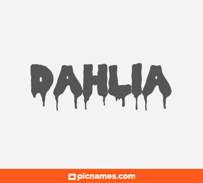 Dahlia