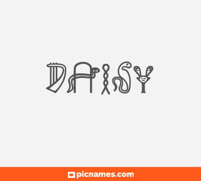 Daisy