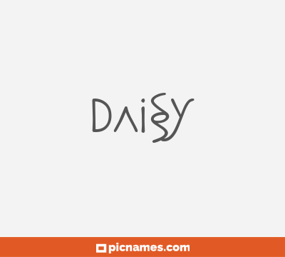 Daisy