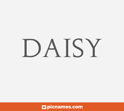 Daisy