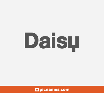 Daisy