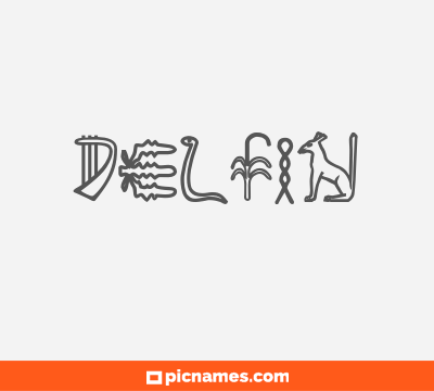 Delfín