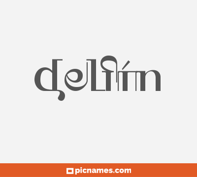 Delfín