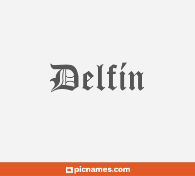 Delfín