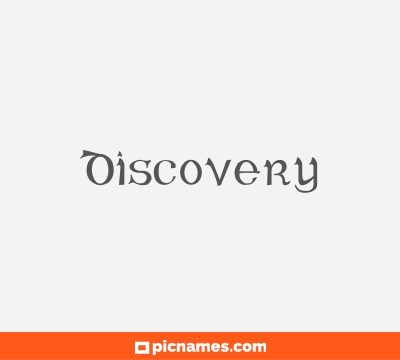 Discovery