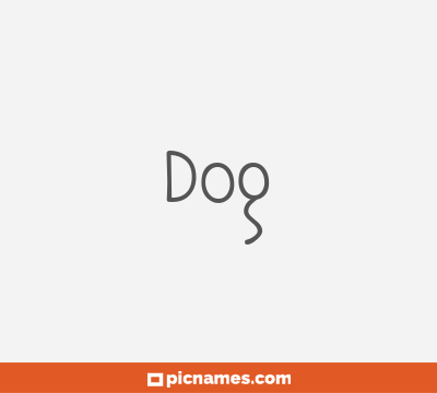 Dog