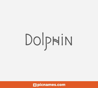 Dolphin