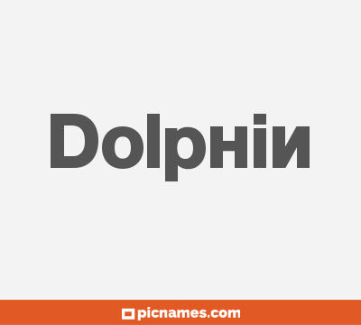 Dolphin