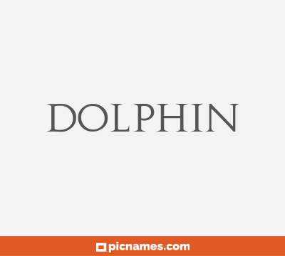 Dolphin