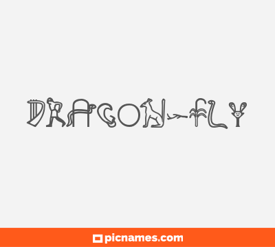 Dragon-fly