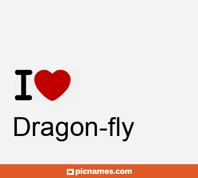 Dragon-fly