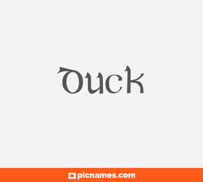 Duck