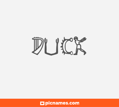 Duck