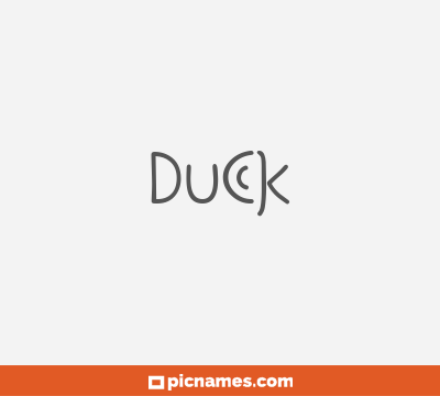 Duck