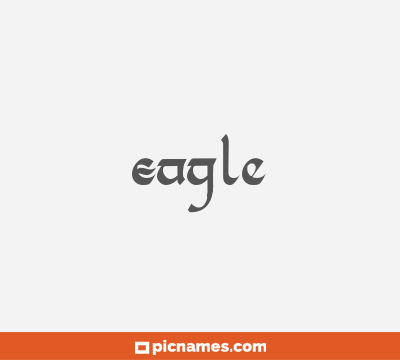 Eagle