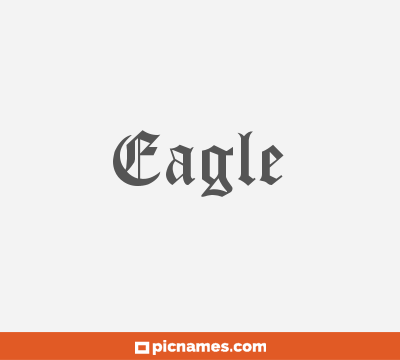 Eagle