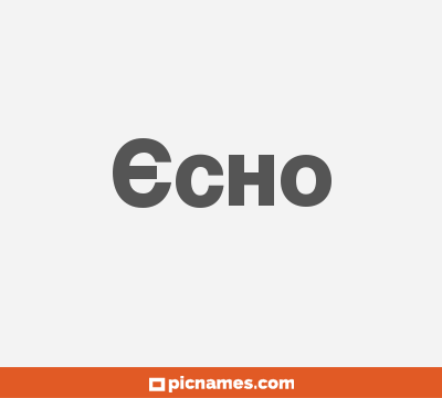 Echo