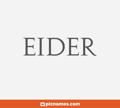 Eider