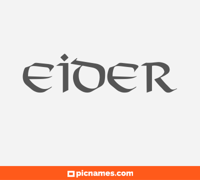 Eider