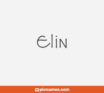 Elin