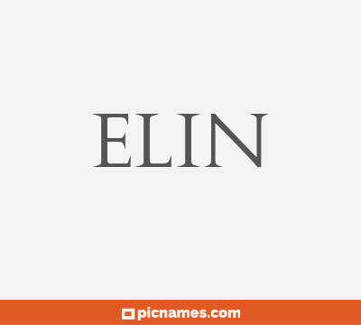 Elin