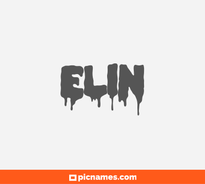 Elin