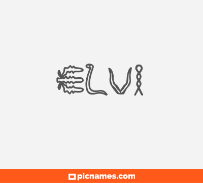 Elvi