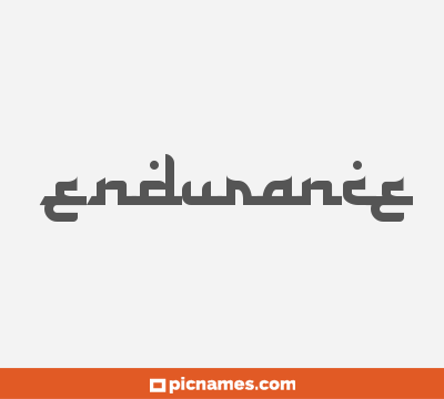 Endurance