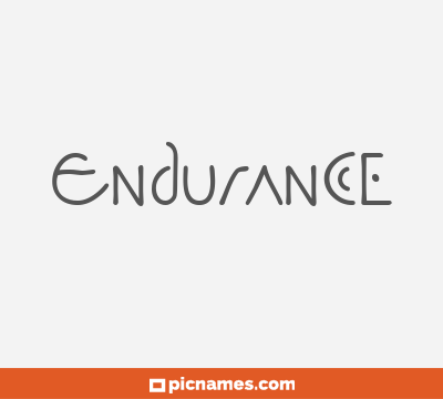 Endurance