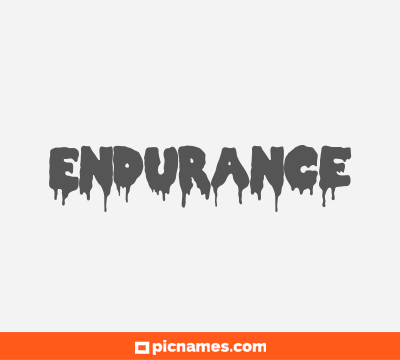 Endurance