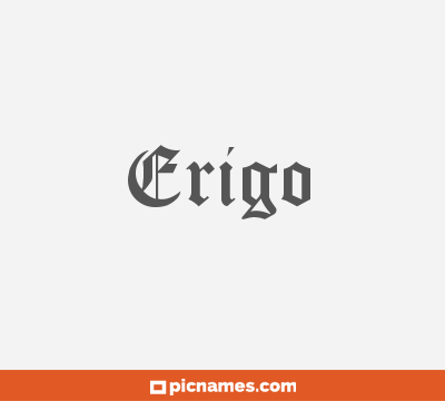 Erigo