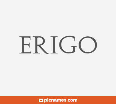 Erigo