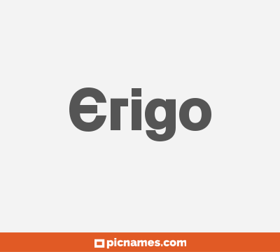 Erigo