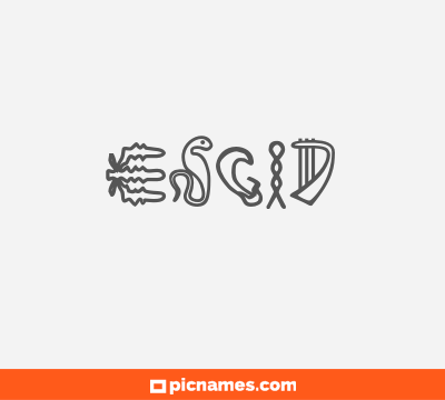 Esgid