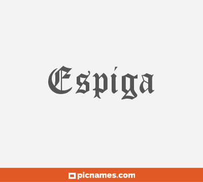 Espiga