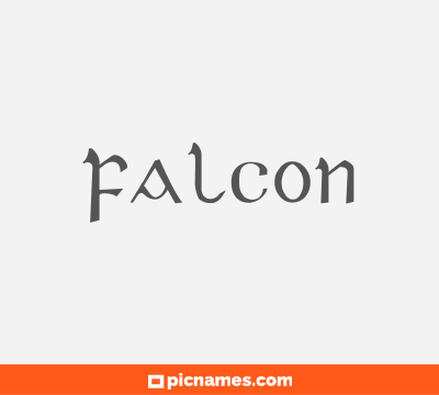 Falcon
