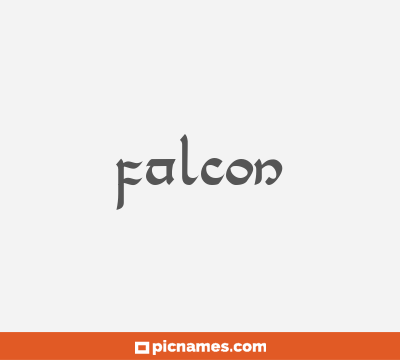 Falcon