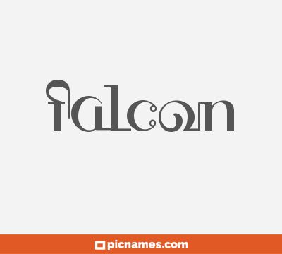 Falcon