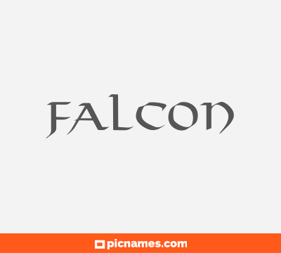 Falcon