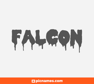 Falcon