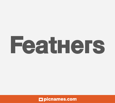 Feathers