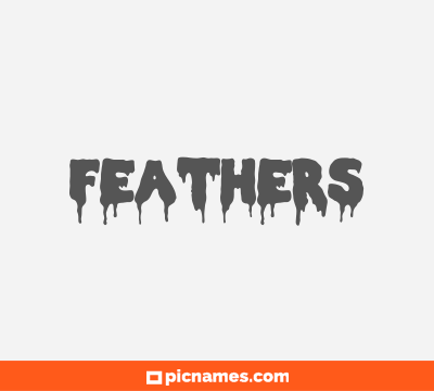 Feathers