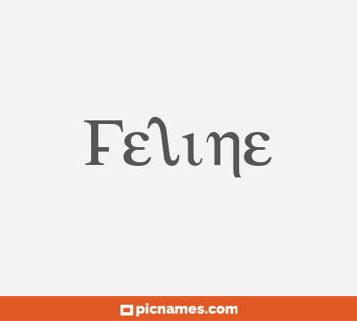 Feline