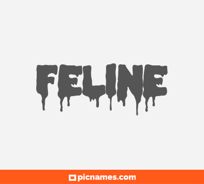 Feline