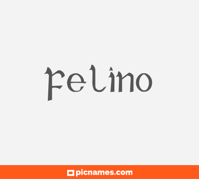 Felino