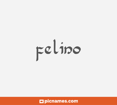 Felino