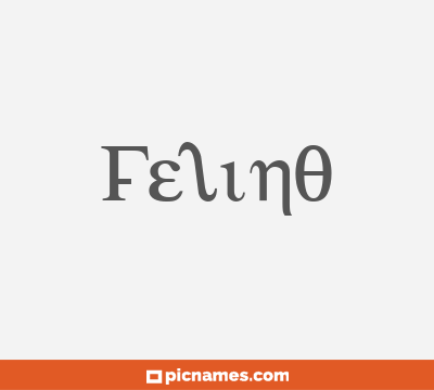 Felino