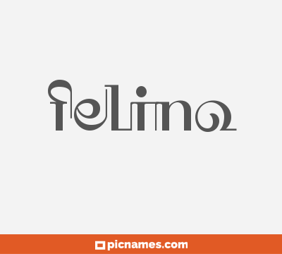 Felino