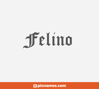 Felino