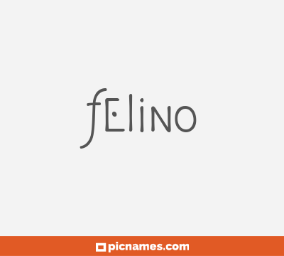 Felino